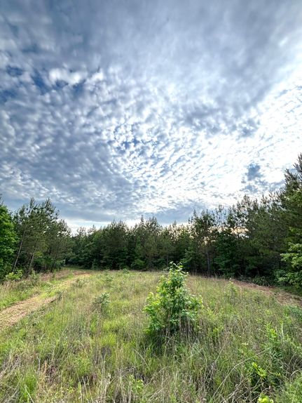 Property for sale in Attala County, Mississippi