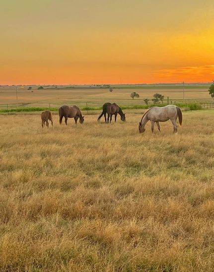 Undeveloped Land for sale in Jackson County, Oklahoma
