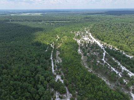 Property for sale in Bladen County, North Carolina