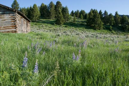 Property for sale in Beaverhead County, Montana