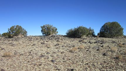 Property in Apache County, Arizona