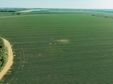 Farm Property for sale in Chicot County, Arkansas