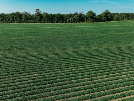 Property for sale in Chicot County, Arkansas