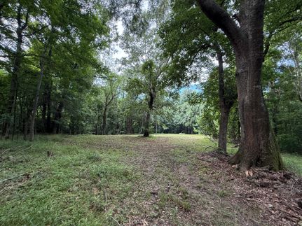Property in Jefferson County, Mississippi