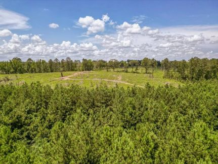 Undeveloped Land for sale in Amite County, Mississippi
