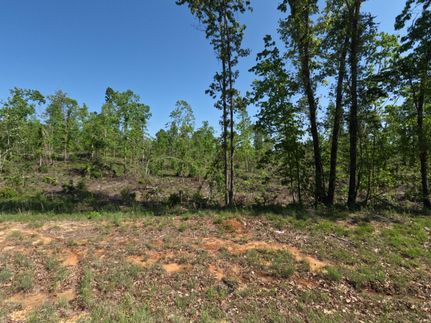 Undeveloped Land for sale in Prentiss County, Mississippi