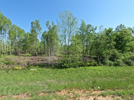 Undeveloped Land for sale in Prentiss County, Mississippi