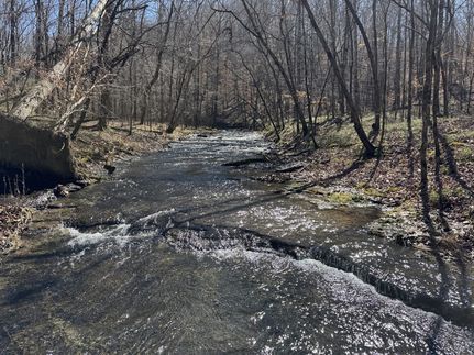 Property in Wayne County, Tennessee