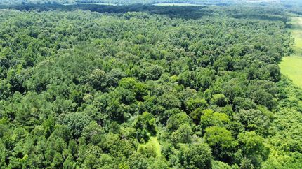 Property for sale in Holmes County, Mississippi