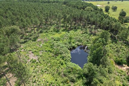 Property for sale in Shelby County, Texas