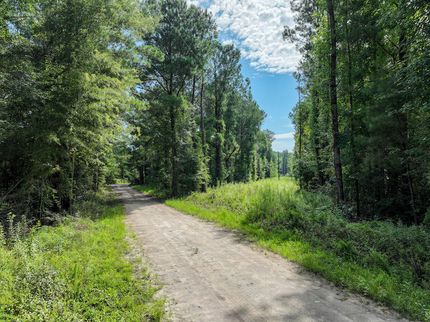 Property for sale in Twiggs County, Georgia