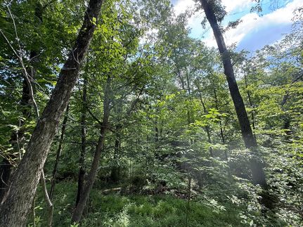 Riverfront Property for sale in Butler County, Pennsylvania