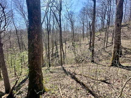 Property for sale in Franklin County, Indiana