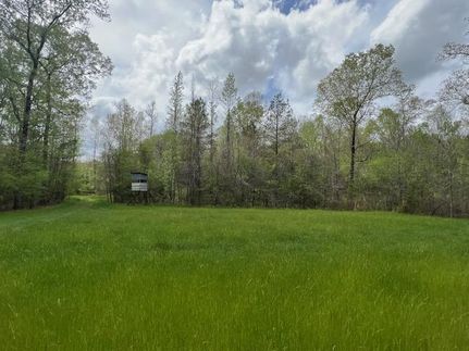 Property in Monroe County, Alabama