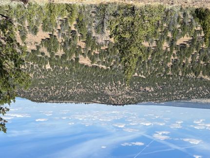 Property for sale in Modoc County, California