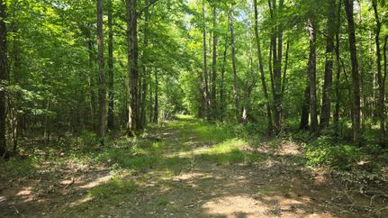 Property in Montgomery County, Mississippi