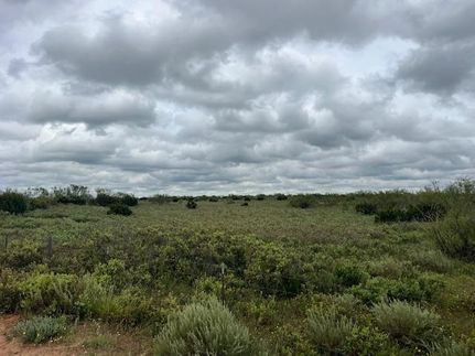 Property for sale in Kent County, Texas