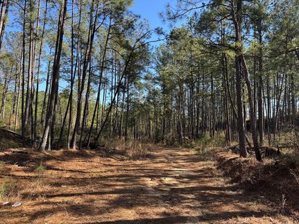 Timberland Property for sale in Pike County, Mississippi