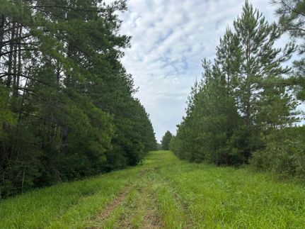 Property for sale in George County, Mississippi