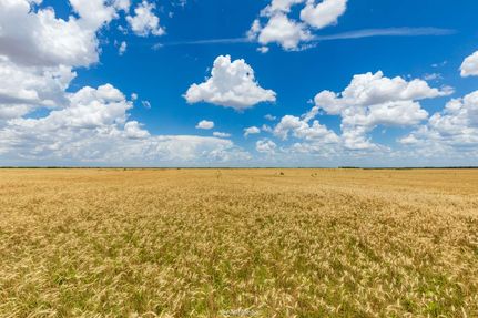 Undeveloped Land for sale in Jones County, Texas