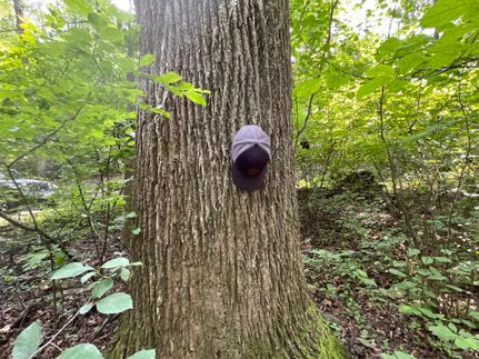 Property in Frederick County, Maryland