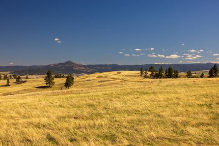 Property for sale in Crook County, Wyoming