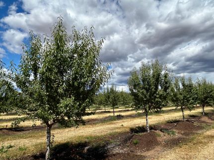 Property for sale in Butte County, California