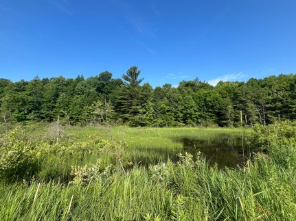 Undeveloped Land for sale in Saint Lawrence County, New York