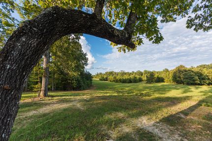 Property in Decatur County, Tennessee