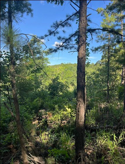 Property for sale in Latimer County, Oklahoma