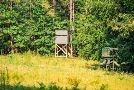 Property for sale in Taylor County, Georgia