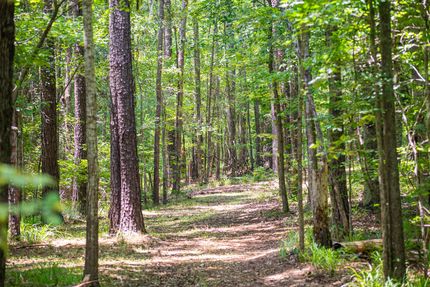 Property for sale in Chattahoochee County, Georgia