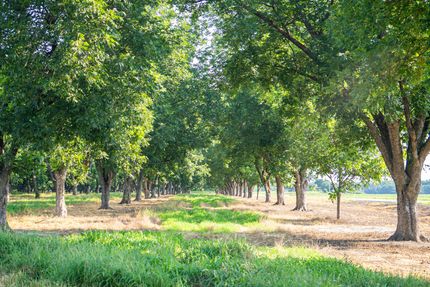 Property in Dooly County, Georgia