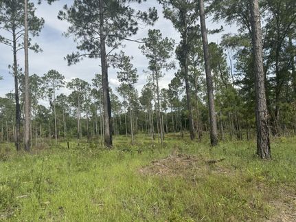 Property for sale in Mitchell County, Georgia