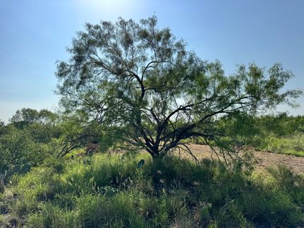 Hunting Land for sale in McMullen County, Texas