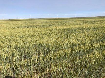 Ranch Property for sale in Weld County, Colorado