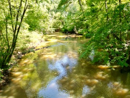 Property for sale in Pike County, Alabama