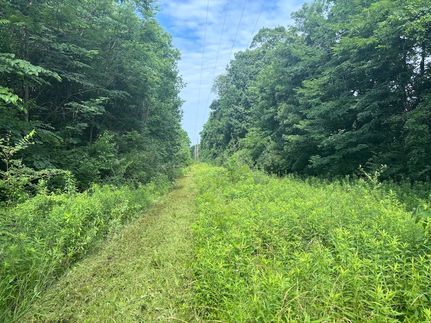 Property in Montgomery County, Ohio