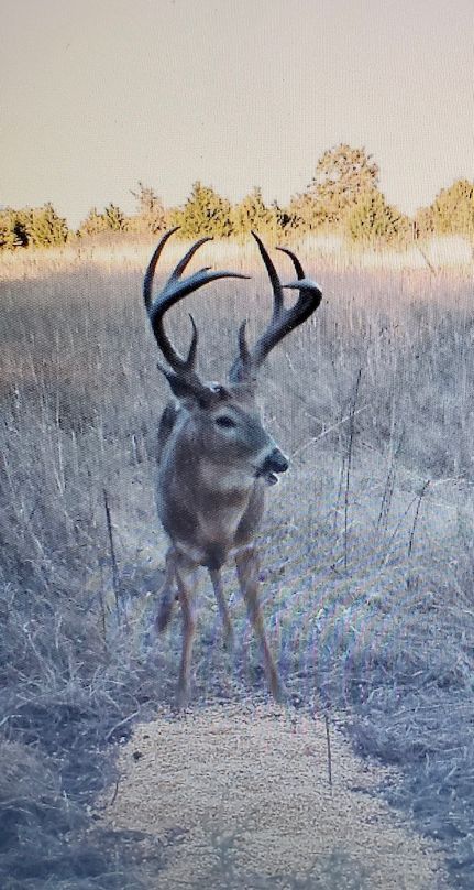 Property in Pottawatomie County, Oklahoma