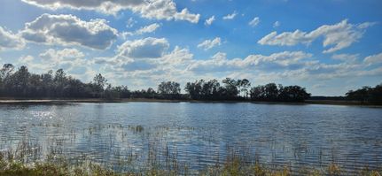 Undeveloped Land for sale in Marion County, Florida