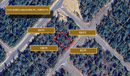 Property in Washington County, Florida