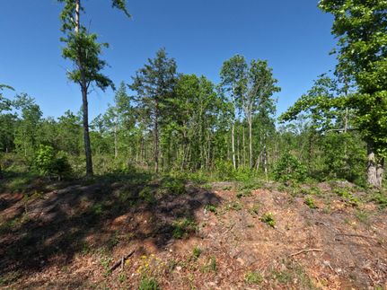 Property for sale in Prentiss County, Mississippi