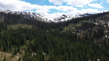 Property for sale in Idaho County, Idaho