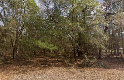 Undeveloped Land for sale in Putnam County, Florida