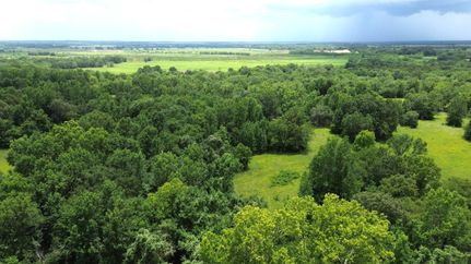 Hunting Land for sale in Houston County, Texas