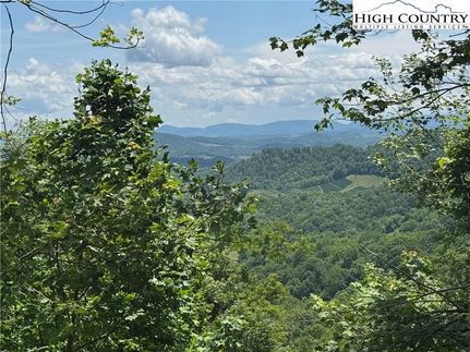 Property for sale in Grayson County, Virginia