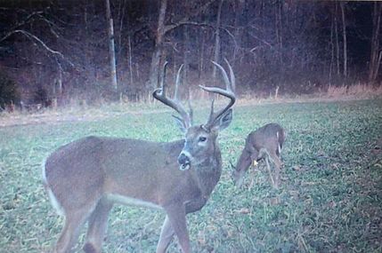 Recreational Property for sale in Morgan County, Missouri