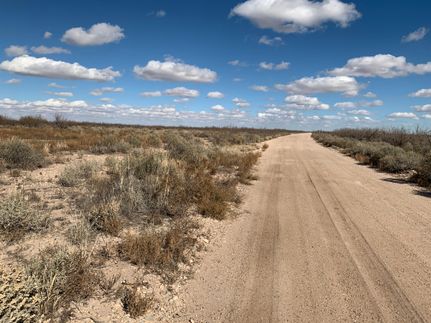 Undeveloped Land for sale in Reeves County, Texas