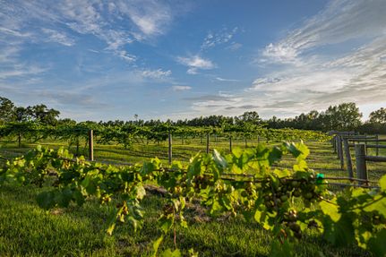 Property for sale in Smith County, Texas