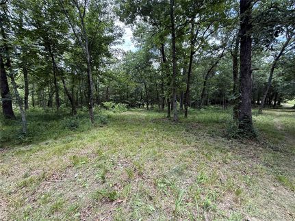 Undeveloped Land for sale in Hunt County, Texas